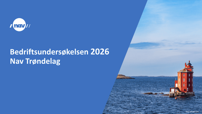 Bedriftsundersøkelsen 2026 Nav Trøndelag