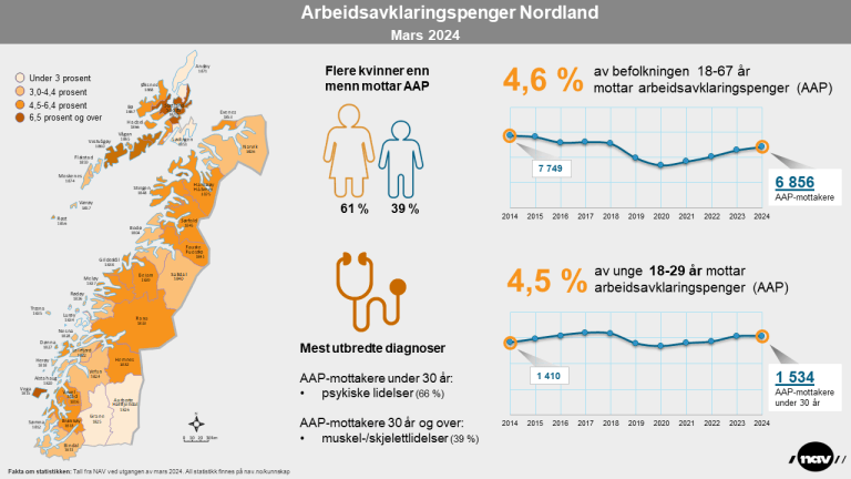 2. Infografikk 2024-3 AAP i Nordland (png)